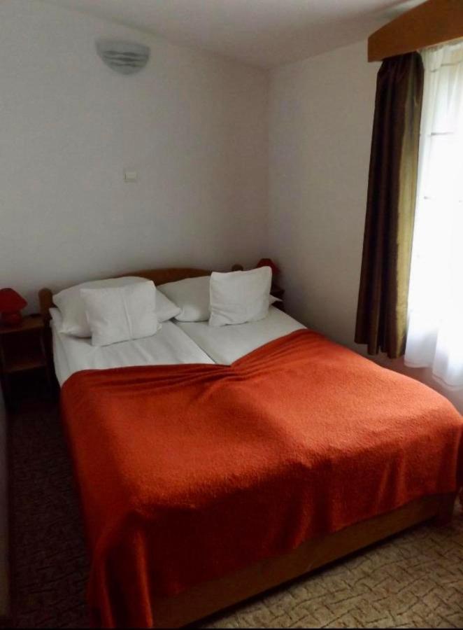 Tulipan Panzio Bed & Breakfast Sfântu-Gheorghe Eksteriør bilde